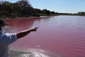 Lago se tiñe de rojo en Paraguay