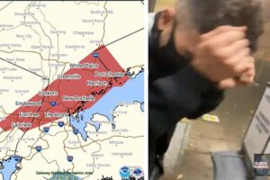 Advertencia de tornado en Nueva York