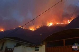 Incendio forestal en San Salvador de Cusco