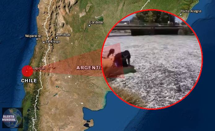 Nuevamente toneladas de peces vararon en Chile (VIDEOS)