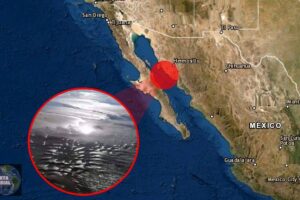 Se aleja el mar en la Playa Bahía de Kino