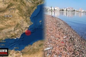 Aparece cerca de cinco toneladas de peces muertos en Murcia, España