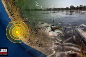 Presencia inusual de cientos de peces quedan varados en el mar de Pisco, Perú