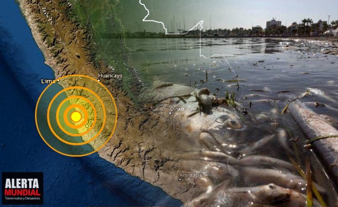 Presencia inusual de cientos de peces quedan varados en el mar de Pisco, Perú