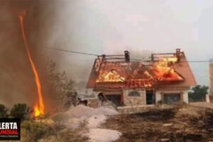 Tornado de fuego deja al menos 38 victimas en incendio forestales en Argelia