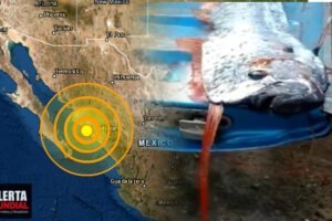 Encuentran el pez remo pez de los terremotos en Sinaloa, México