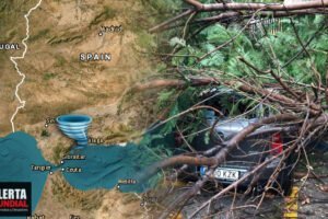España Tornado provoca daños y caída de árboles en Marbella