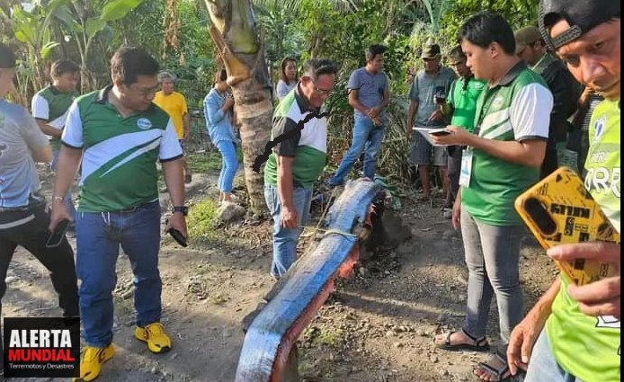 Aparece el pez de los terremotos Hallazgo de pez remo genera preocupación en la población de una playa en Filipinas