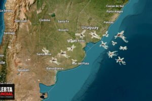 Miles de mosquitos invaden Buenos Aires de la Argentina