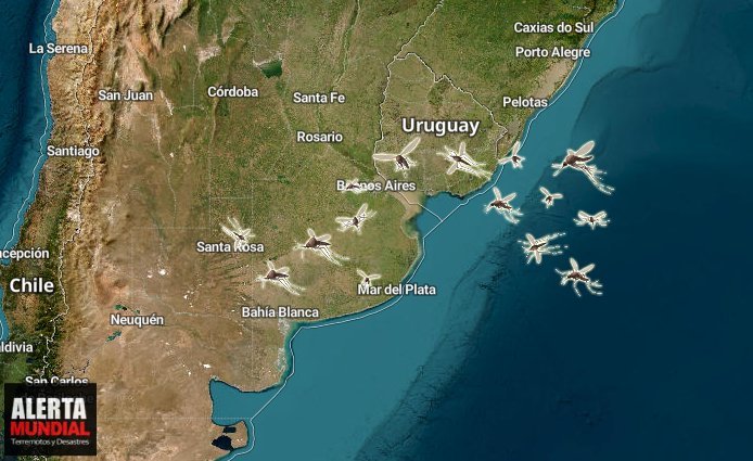 Miles de mosquitos invaden Buenos Aires de la Argentina