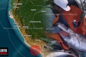 Hallan Gigantesco Pez Remo en las Aguas de Arequipa