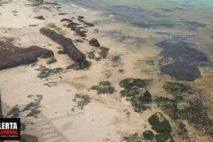 El Mar se Aleja de la Costa en Quintana Roo Un Fenómeno Inusual en Mahahual
