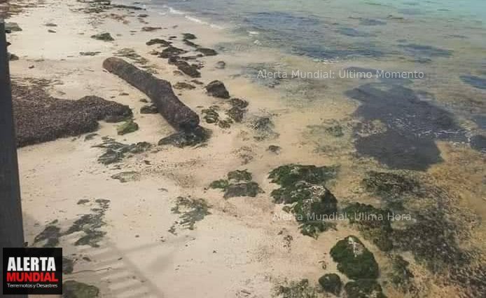 El Mar se Aleja de la Costa en Quintana Roo Un Fenómeno Inusual en Mahahual
