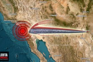 Científicos desconcertados por el hallazgo de un pez remo gigante en San Diego, California