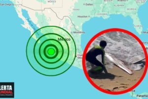 Alarma en Baja California por el avistamiento de dos peces remo en solo dos semanas