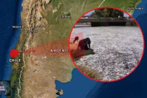 Nuevamente toneladas de peces vararon en Chile (VIDEOS)