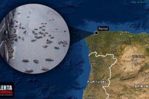 Lluvia de aves caen muertos sobre varias personas en una calle de Ferrol, España
