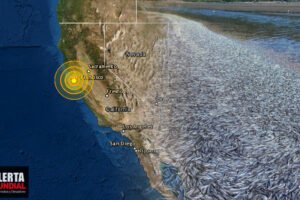 Lluvia de peces anchoas sorprende a mucha gente en California, EE.UU.