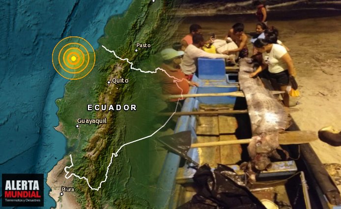 Aparece el temido pez remo de los TERREMOTOS en Ecuador, según una leyenda de Japón