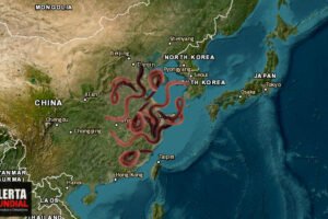 Intensa lluvia de gusanos en China extraño suceso atemoriza a pobladores