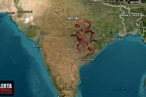 Miles de gusanos 'llueven' del cielo golpeando ciudad India